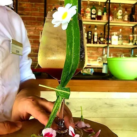 Premium Verona دراس